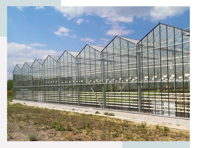 Строительство теплиц в Железнодорожный от 615 руб. за м²