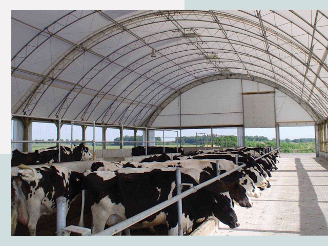 Тентовые коровники в железнодорожном